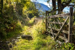 Lorton Vale