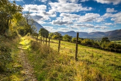 Lorton Vale