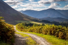 Lorton Vale