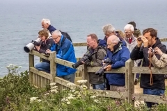 Photographers on Bempton Cliffs