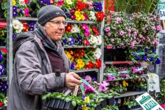 Columbia Flower Market