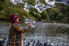 Feeding the birds St James’s Park Lake