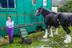 Appleby Horse Fair
