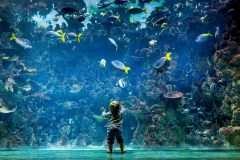 The Deep