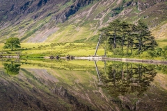Crummock Water