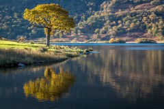 Crummock Water