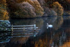 Loweswater