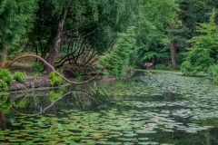Japanese Garden, Tatton Park