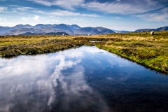 Tarn at the summit of Robinson