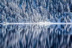 Silvaplana, Swiss Alps