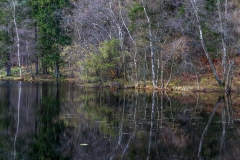 Tarn Hows