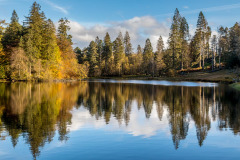 Tarn Hows
