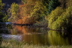 Tarn Hows