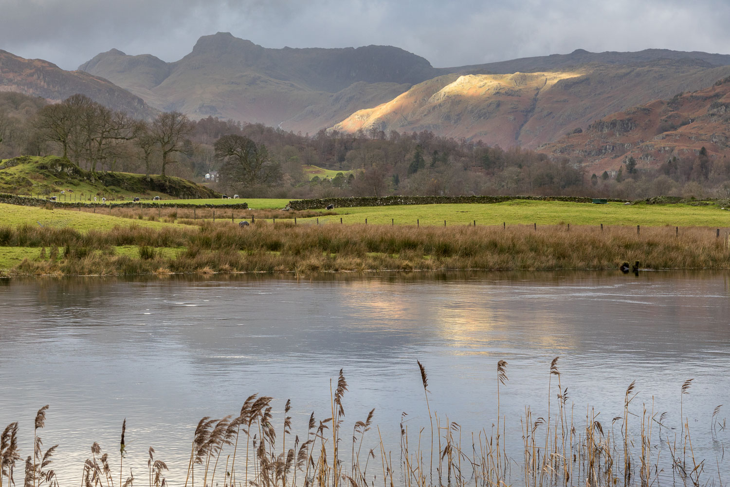 River Brathay and the Langdale Pikes