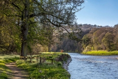 River Tweed near Melrose