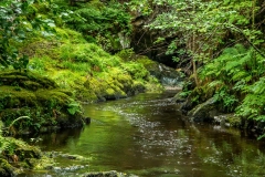 Aira Beck