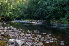 River Allen, Northumberland