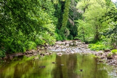 Hoff Beck, Eden Valley