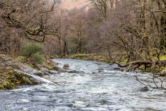 River Derwent, Borrowdale