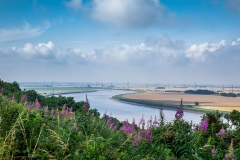 River Trent