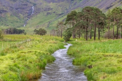 Warnscale Beck, Buttermere