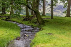 Hassnesshow Beck, Buttermere