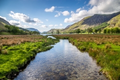 Warnscale Beck