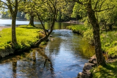 Buttermere Dubs