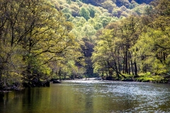 River Derwent, Borrowdale