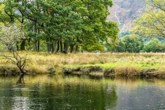 River Cocker near Crummock Water
