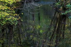 Fountains Abbey