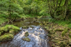 West Beck, Goathland