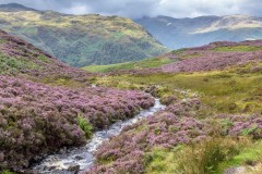 Willygrass Gill, Borrowdale