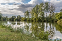 La Seille, Louhans