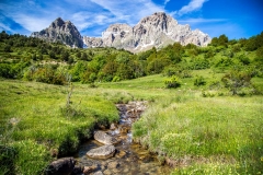 Small stream, Spanish Pyrenees