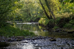 River Derwent near Hackness