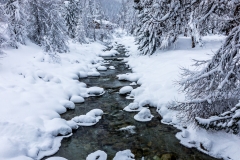 Swiss Alps