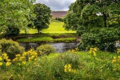 River Swale