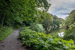 River Coquet, Northumberland