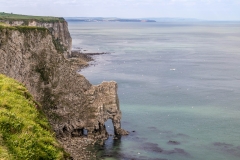 Bempton Cliffs