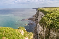 Bempton Cliffs