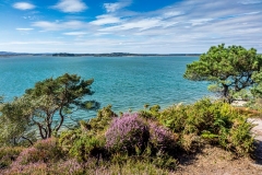 Brownsea Island