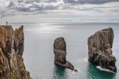 Elegug-Stacks, Pembrokeshire