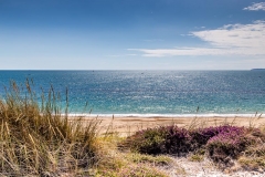 Hengistbury