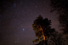 Starry skies over Lorton Vale