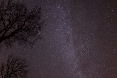 Starry skies over Lorton Vale