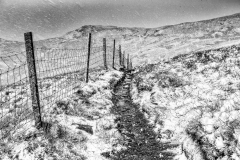 Angletarn Pikes