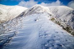Whiteless Edge