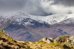 Catstycam