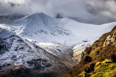 Catstycam